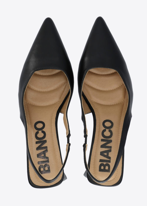 Bianco bateliai Maralyn