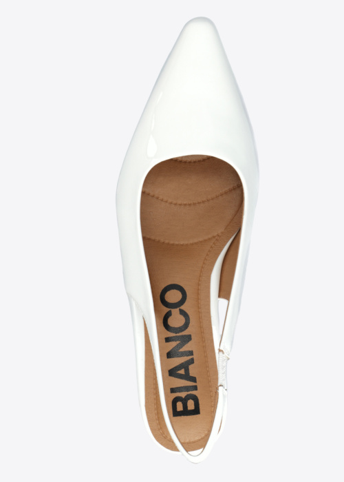 Bianco bateliai Baley