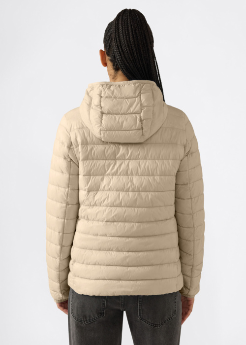 Champion pavasario-rudens striukė