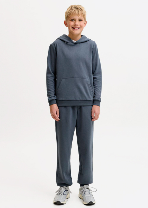 Jack & Jones sportinės kelnės Gordon