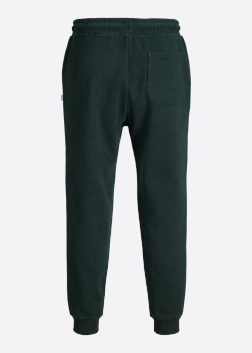 Jack & Jones sportinės kelnės Gordon Bradley