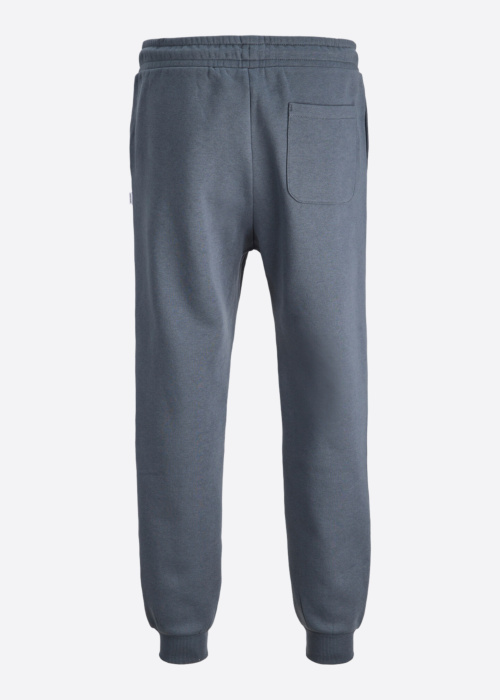 Jack & Jones sportinės kelnės Gordon Bradley