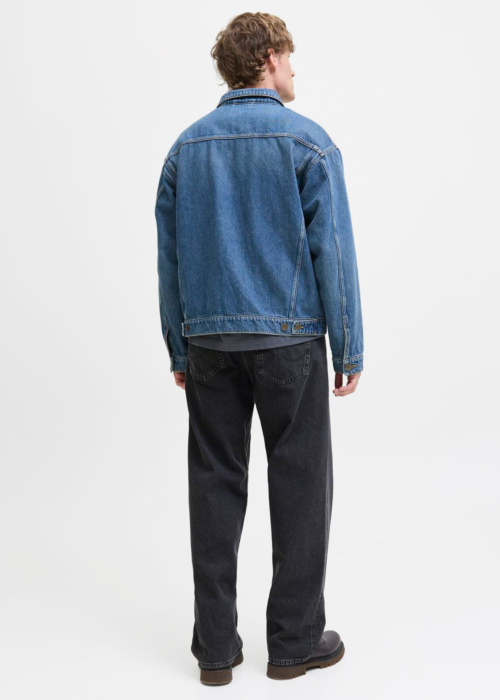 Jack & Jones džinsu bikses Alex