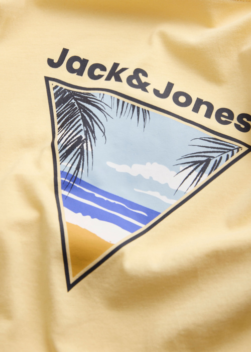 Jack & Jones marškinėliai Perry