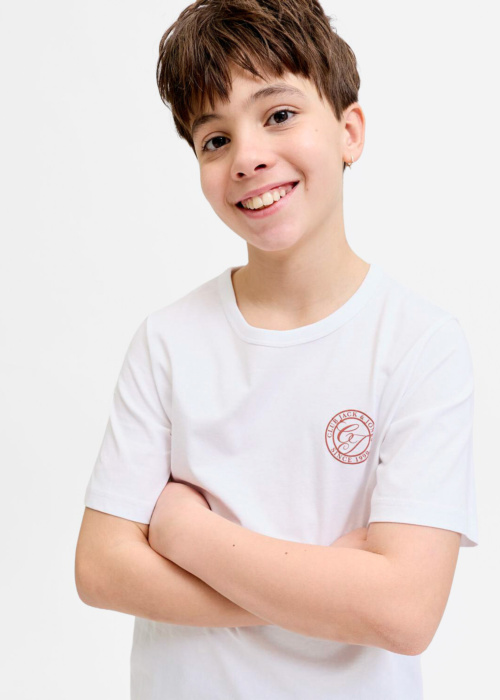 Jack & Jones marškinėliai Alliance