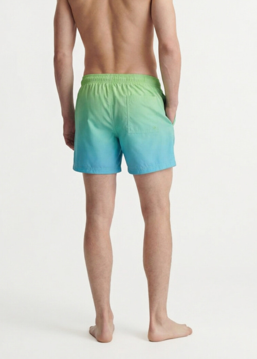 Jack & Jones šortai Maui Horizon