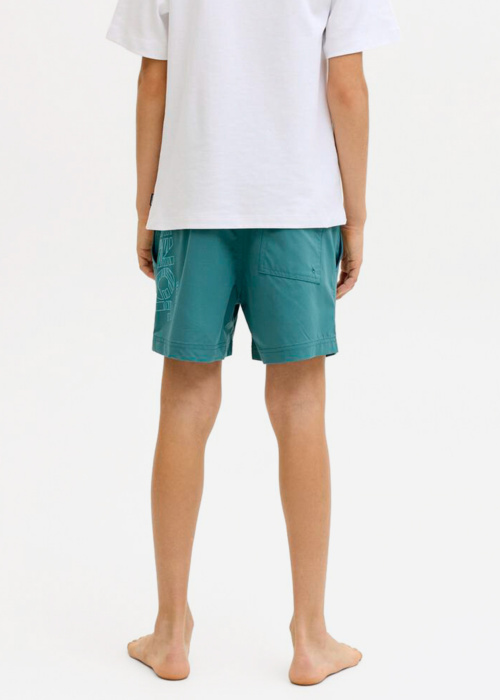Jack & Jones šortai Maui