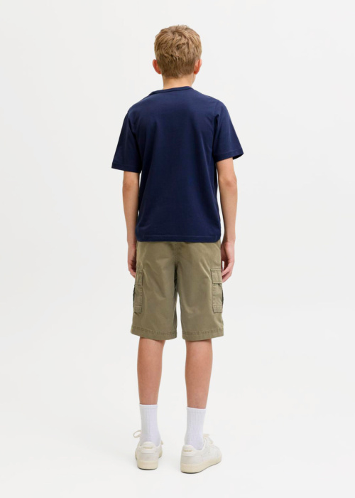 Jack & Jones kelnės Cole Matty