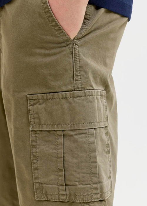 Jack & Jones kelnės Cole Matty