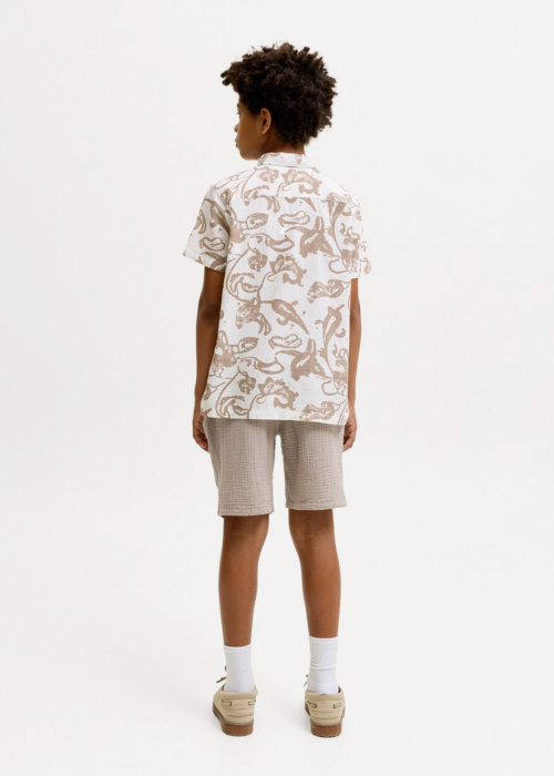 Jack & Jones kelnės Jaiden