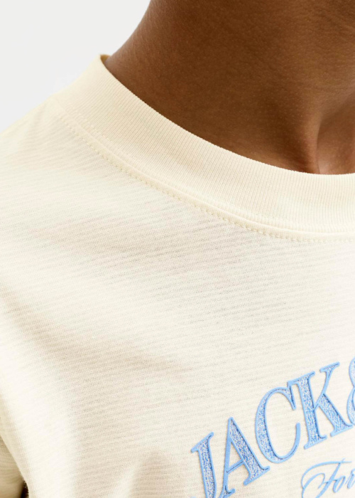 Jack & Jones marškinėliai Cassis