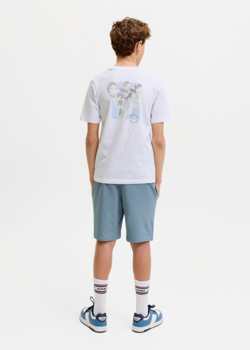 Jack & Jones kelnės Gordon