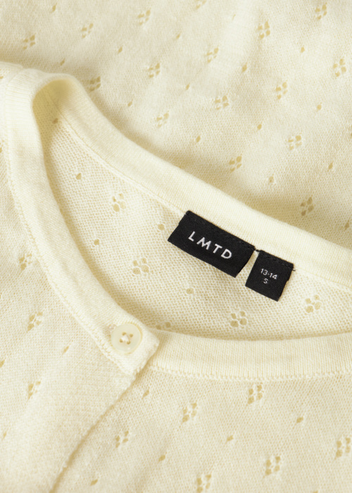 LMTD megztinis Hoint