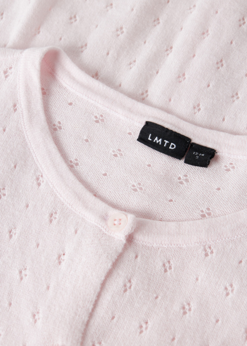 LMTD megztinis Hoint