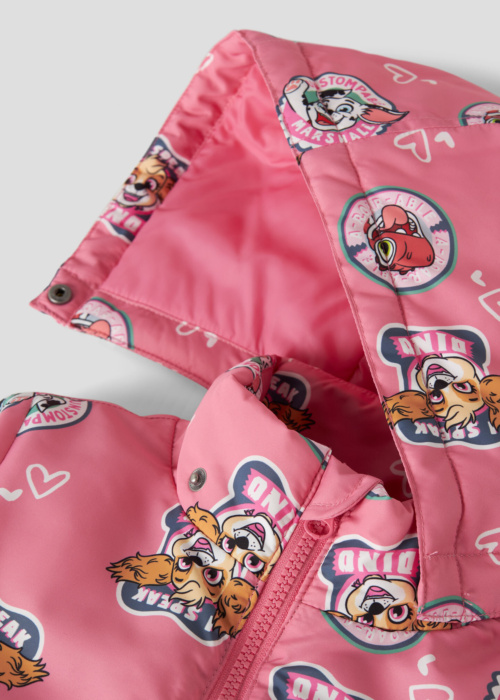 Name It Mini Outerwear pavasario-rudens striukė Maxi Paw