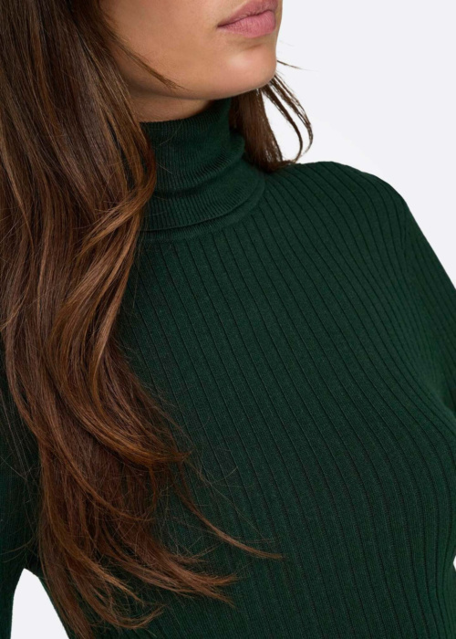 Only megztinis Karol Rollneck