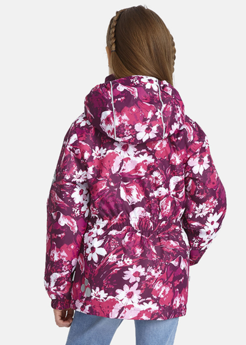 Huppa pavasario-rudens striukė Joly