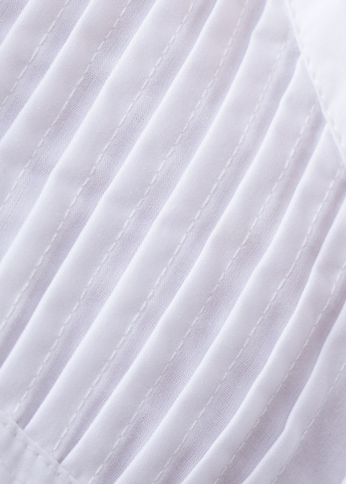 Fransa palaidinė Shirley