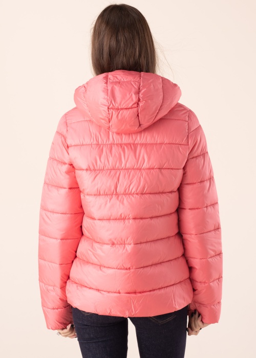 Champion pavasario-rudens striukė