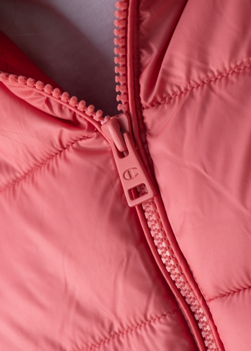 Champion pavasario-rudens striukė