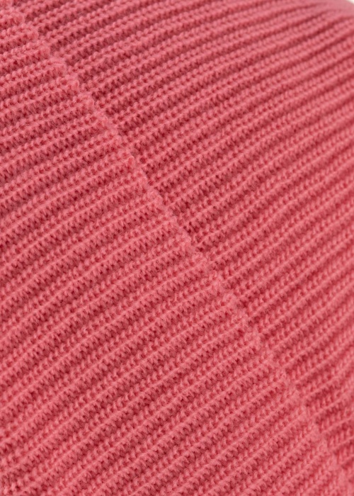 Champion žieminė kepurė