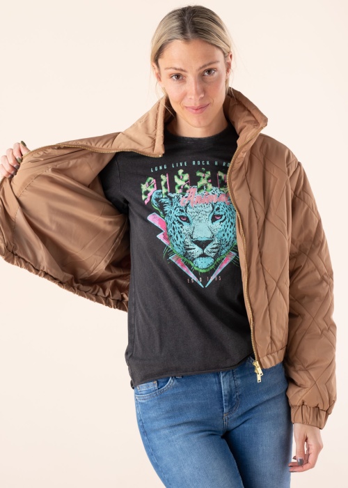 Noisy May striukė Ziggy