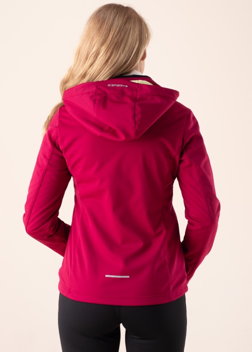 Icepeak pavasario-rudens striukė SCH Boise