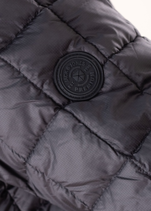 Jack & Jones pavasario-rudens striukė Frost