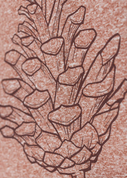 Five Seasons marškinėliai Pinecone