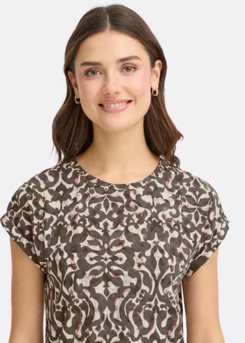 Fransa palaidinė Seen