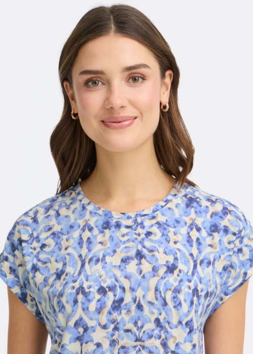 Fransa palaidinė Seen