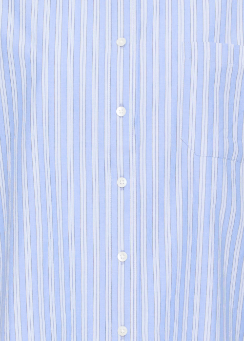 Fransa palaidinė Ricky