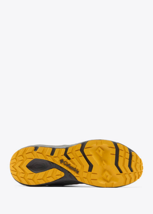 Columbia žygio batai Peakfreak Roam