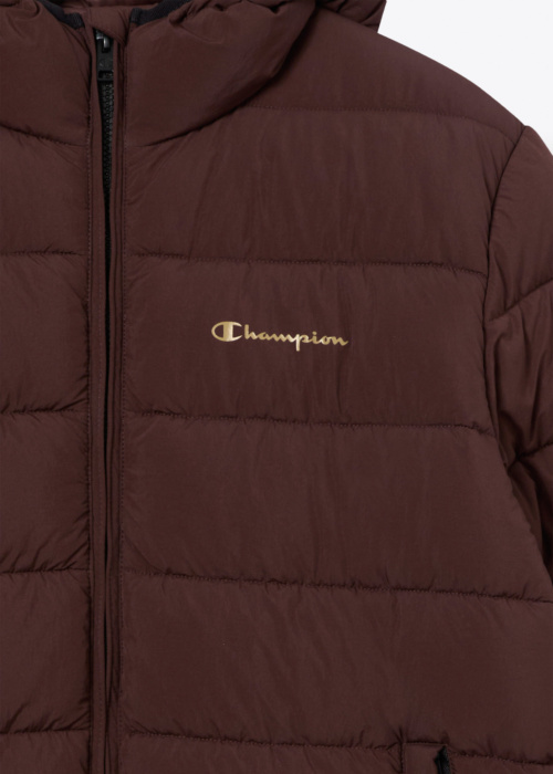 Champion pavasario-rudens striukė