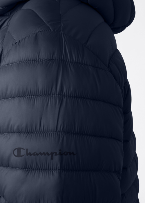 Champion pavasario-rudens striukė