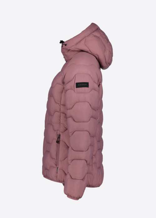Icepeak dygsniuota pavasario-rudens striuke Blackey