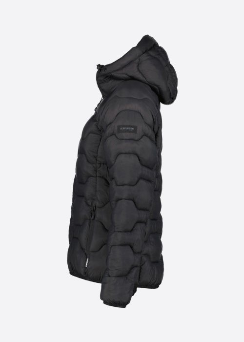 Icepeak dygsniuota pavasario-rudens striuke Blackey