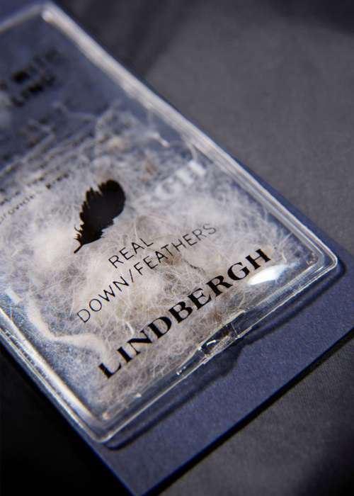 Lindbergh Down