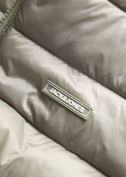 Jack & Jones pavasario-rudens striukė Louis