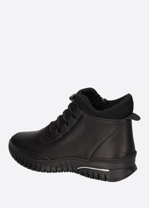 Cosmos pavasario-rudens aulinukai