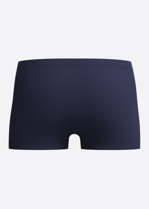 Speedo maudymosi kelnaitės