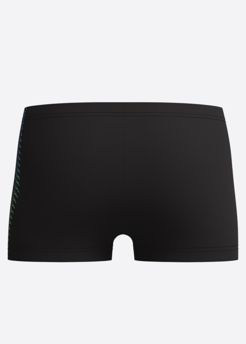 Speedo maudymosi kelnaitės