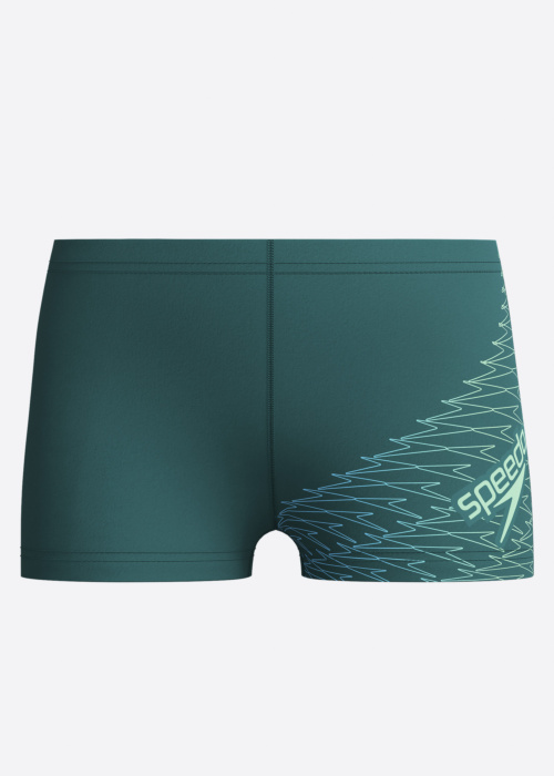 Speedo maudymosi kelnaitės