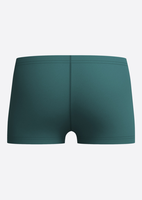 Speedo maudymosi kelnaitės