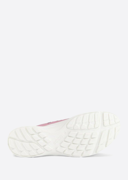 Ecco žygio batai Terracruise