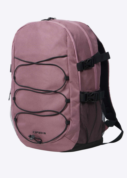 Icepeak kuprinė  Gloucester