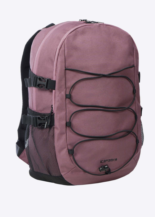 Icepeak kuprinė  Gloucester