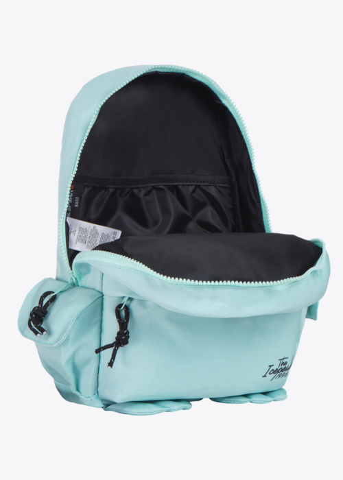 Icepeak kuprinė  Gurley