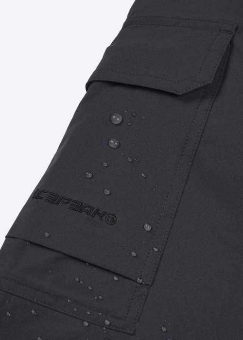 Icepeak žygių kelnės Braswell