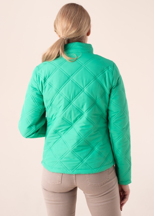 Fransa pavasario-rudens striukė Fay